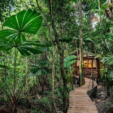 Daintree Wilderness Lodge Экстерьер фото