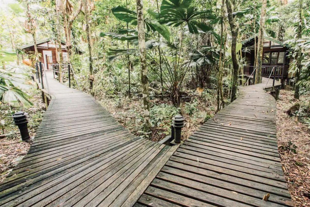 Daintree Wilderness Lodge Экстерьер фото
