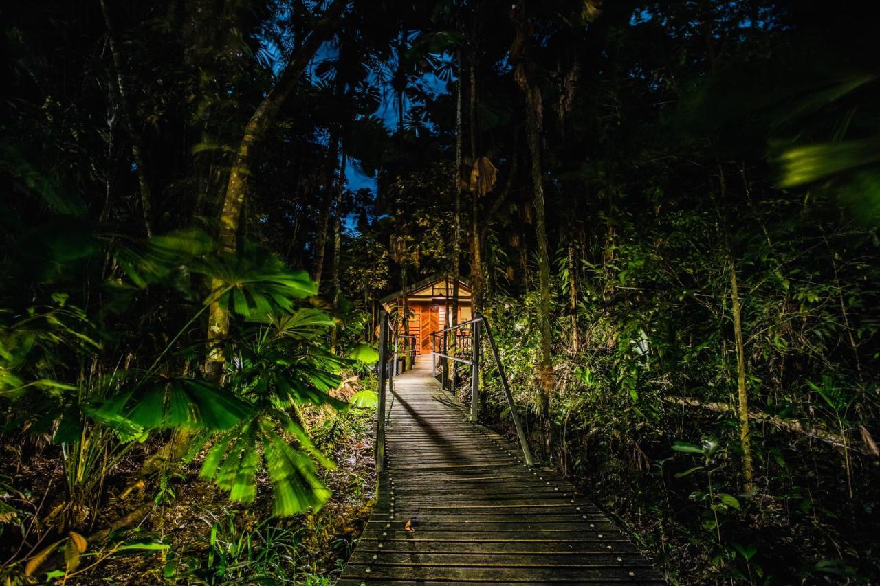 Daintree Wilderness Lodge Экстерьер фото