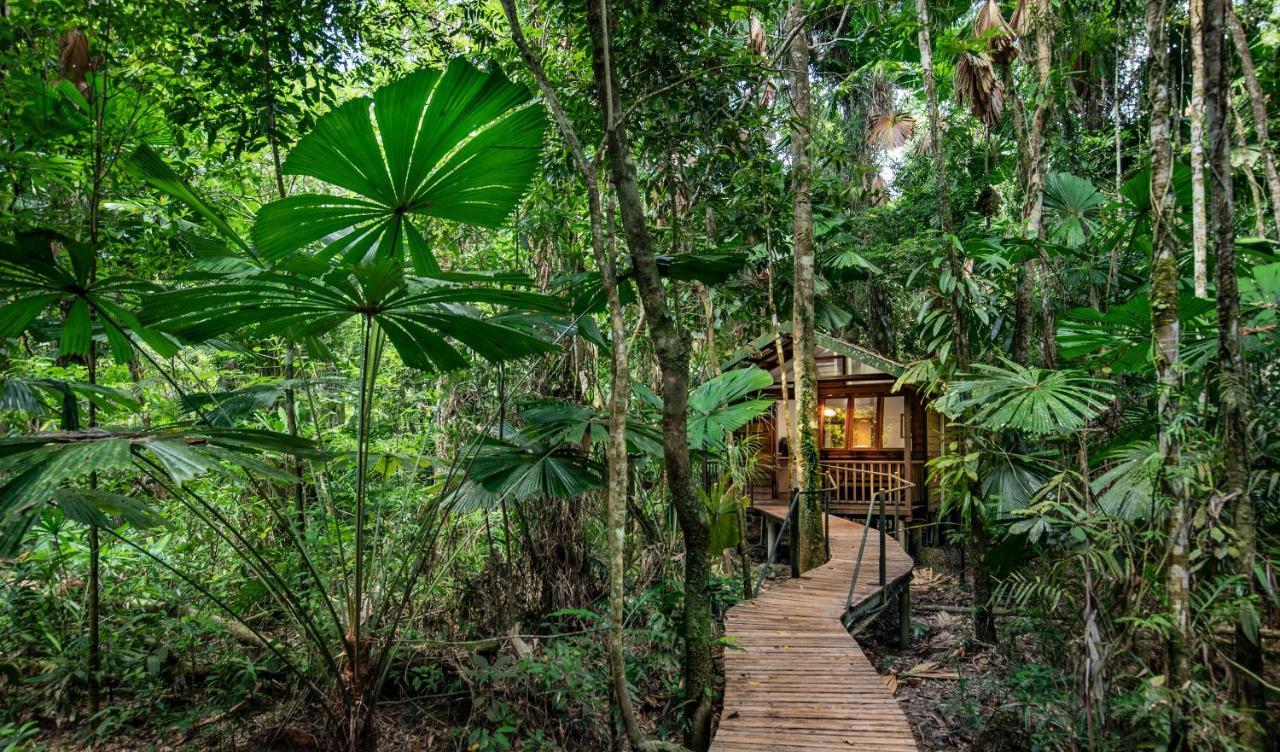 Daintree Wilderness Lodge Экстерьер фото