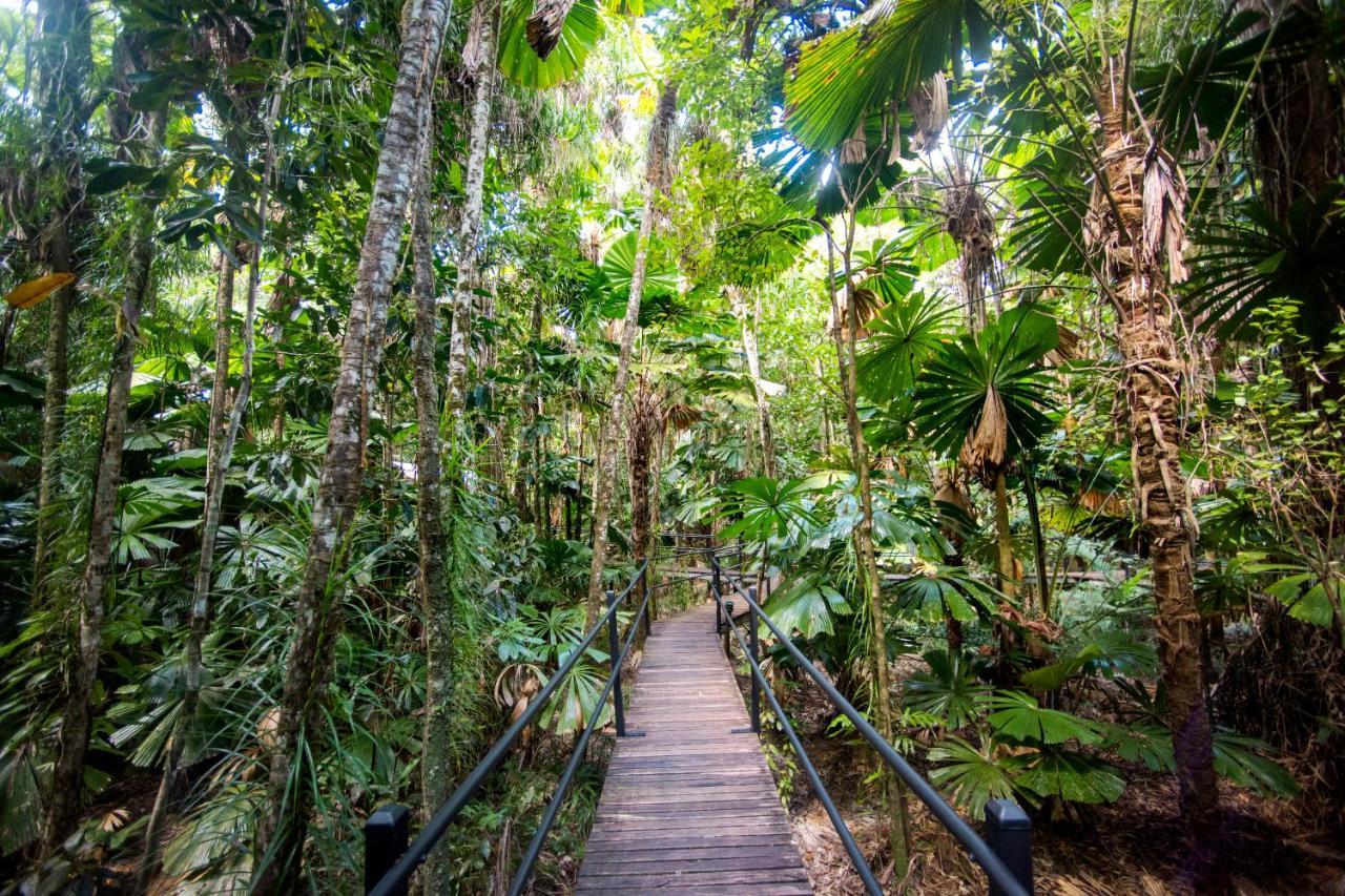 Daintree Wilderness Lodge Экстерьер фото