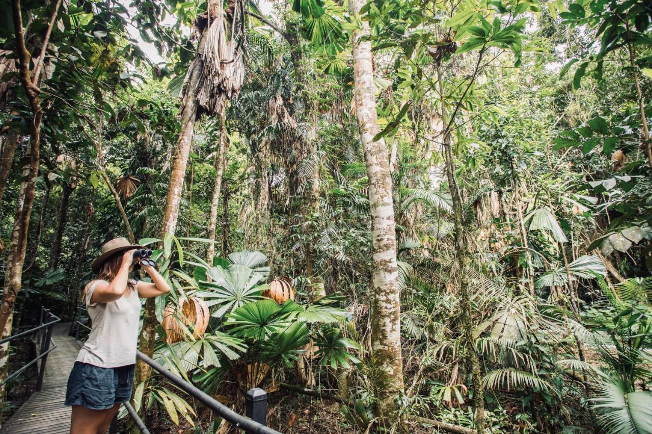 Daintree Wilderness Lodge Экстерьер фото