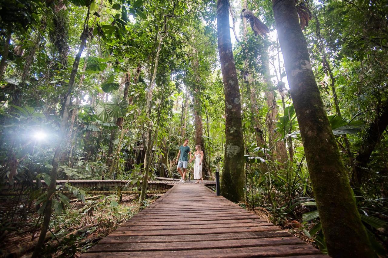 Daintree Wilderness Lodge Экстерьер фото