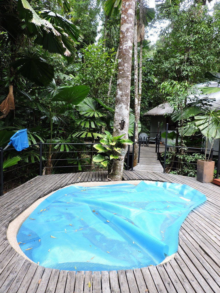 Daintree Wilderness Lodge Экстерьер фото