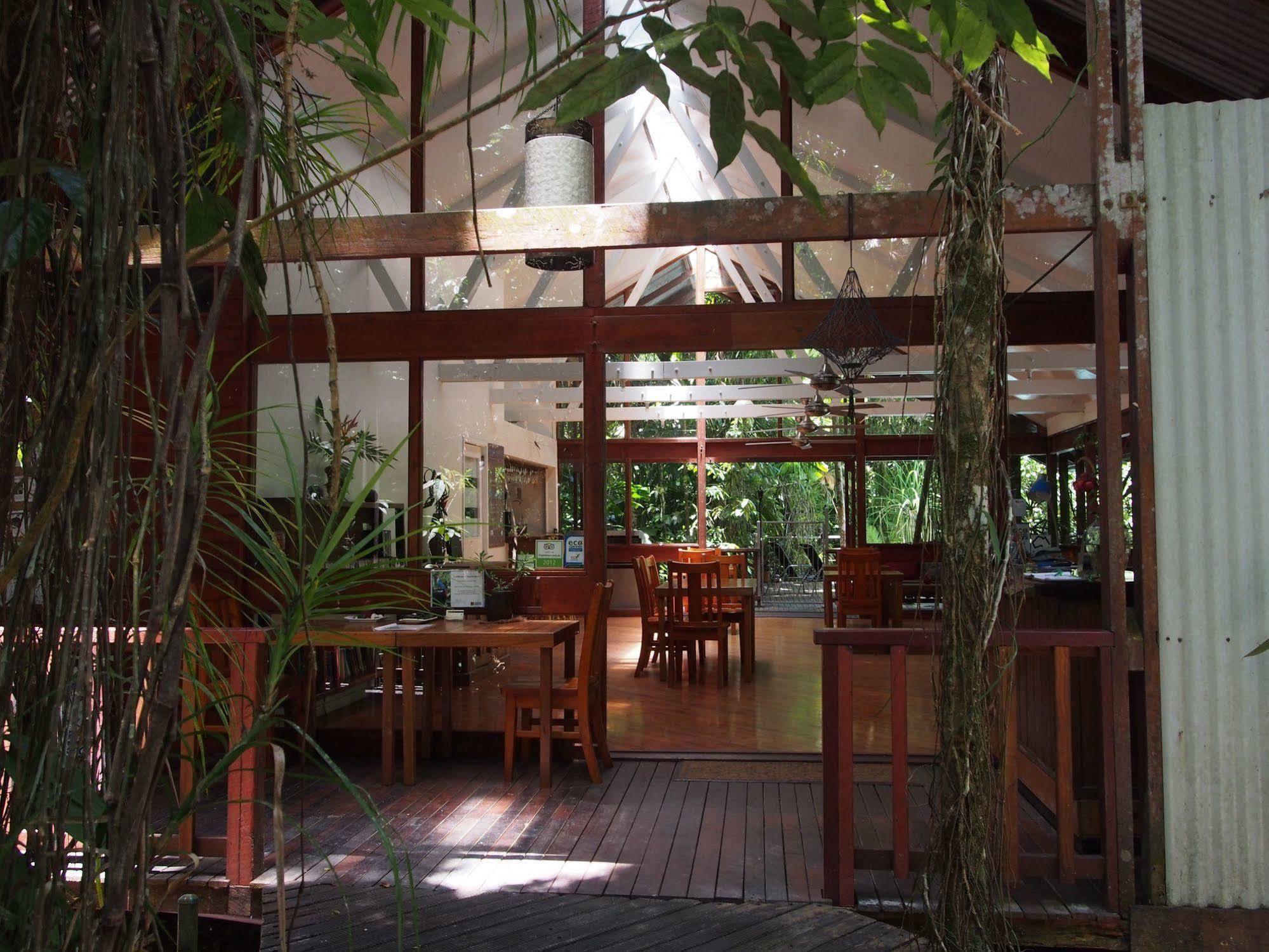 Daintree Wilderness Lodge Экстерьер фото