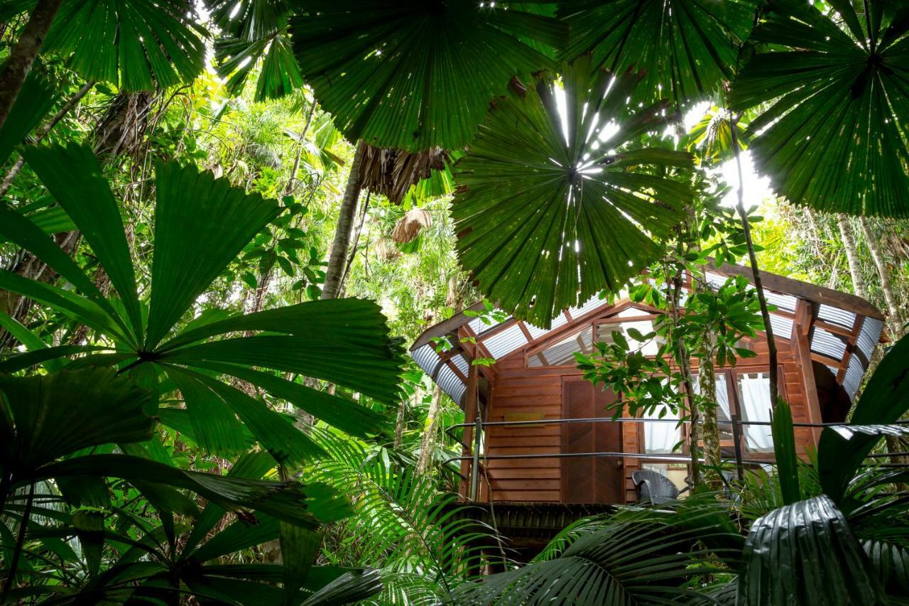 Daintree Wilderness Lodge Экстерьер фото